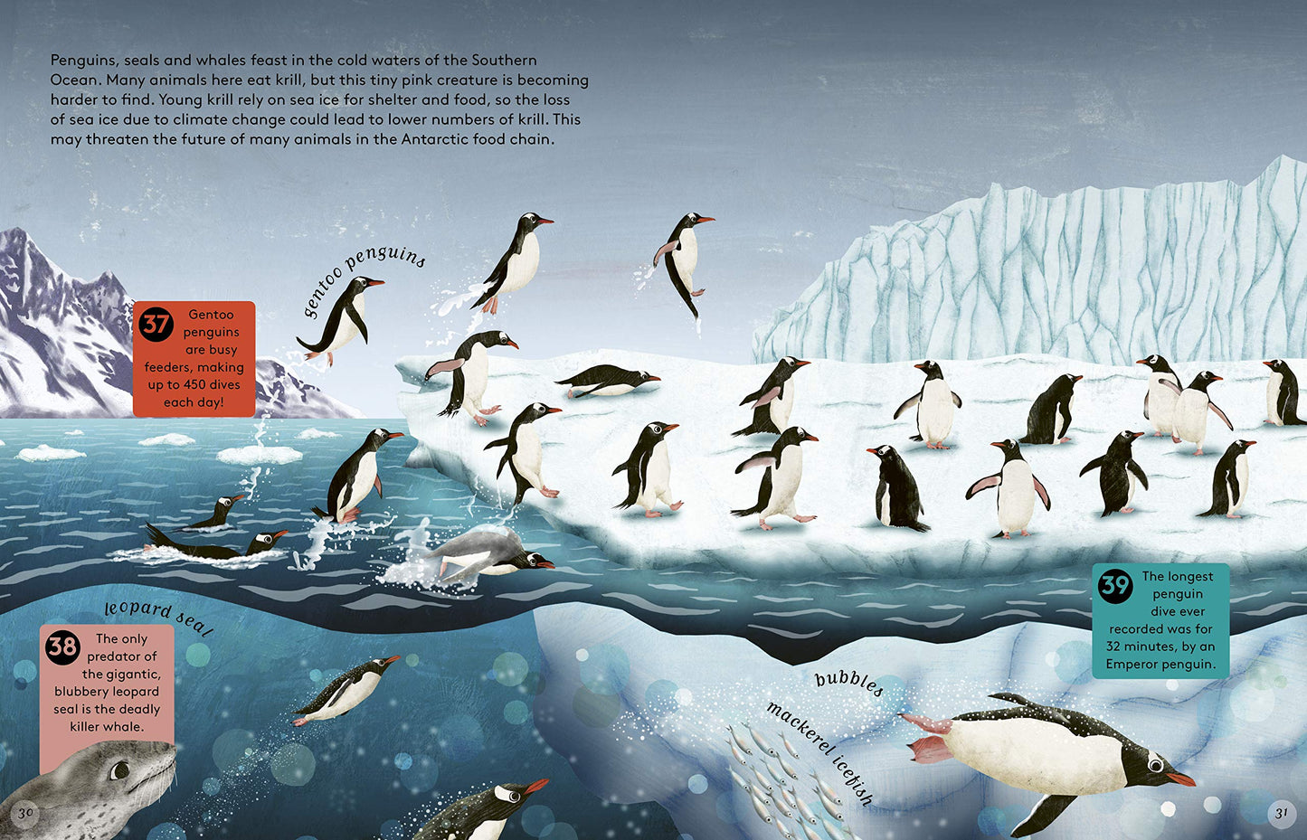 50 Reasons To Love Endangered Animals