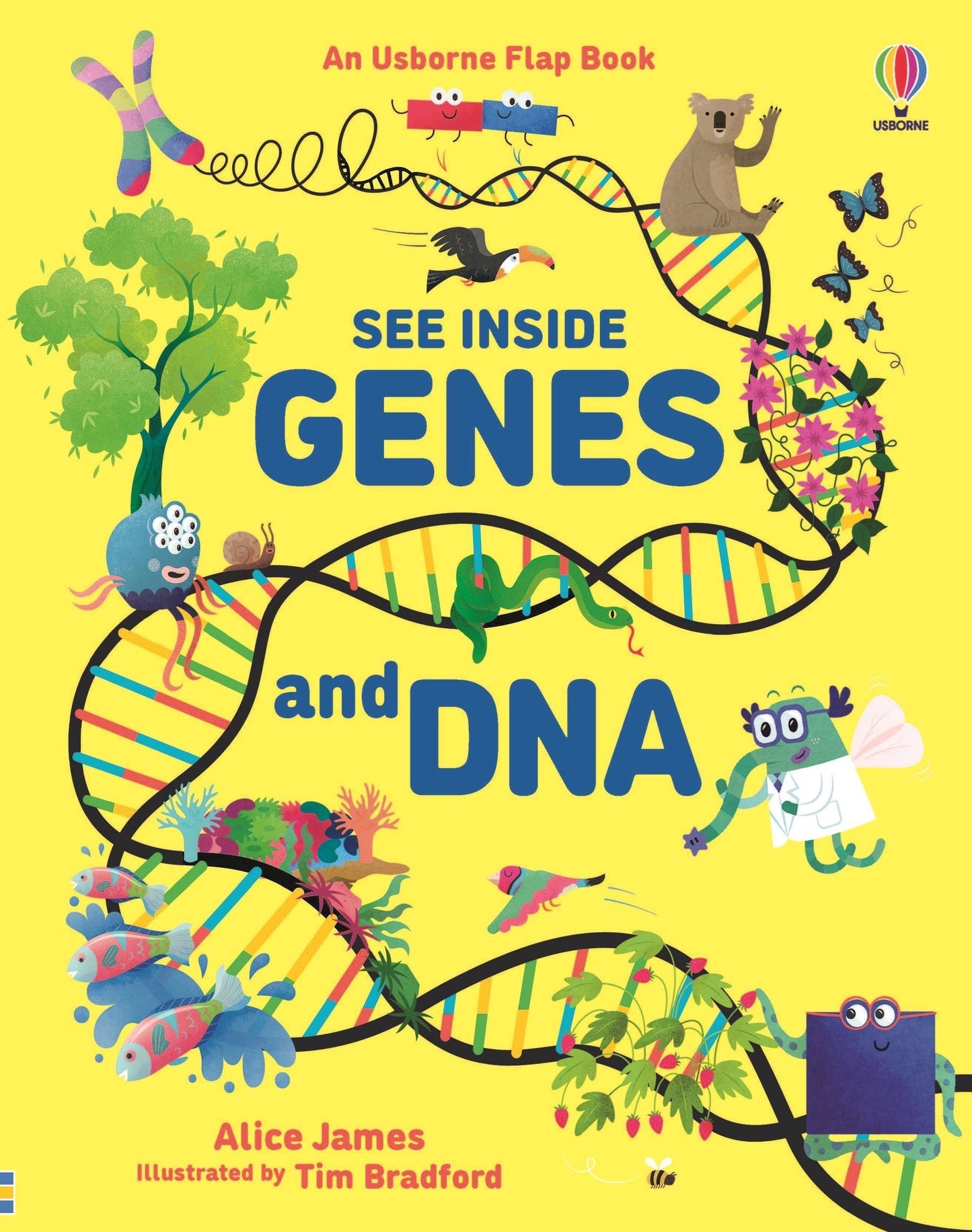 See Inside Genes & DNA (Lift the Flap)