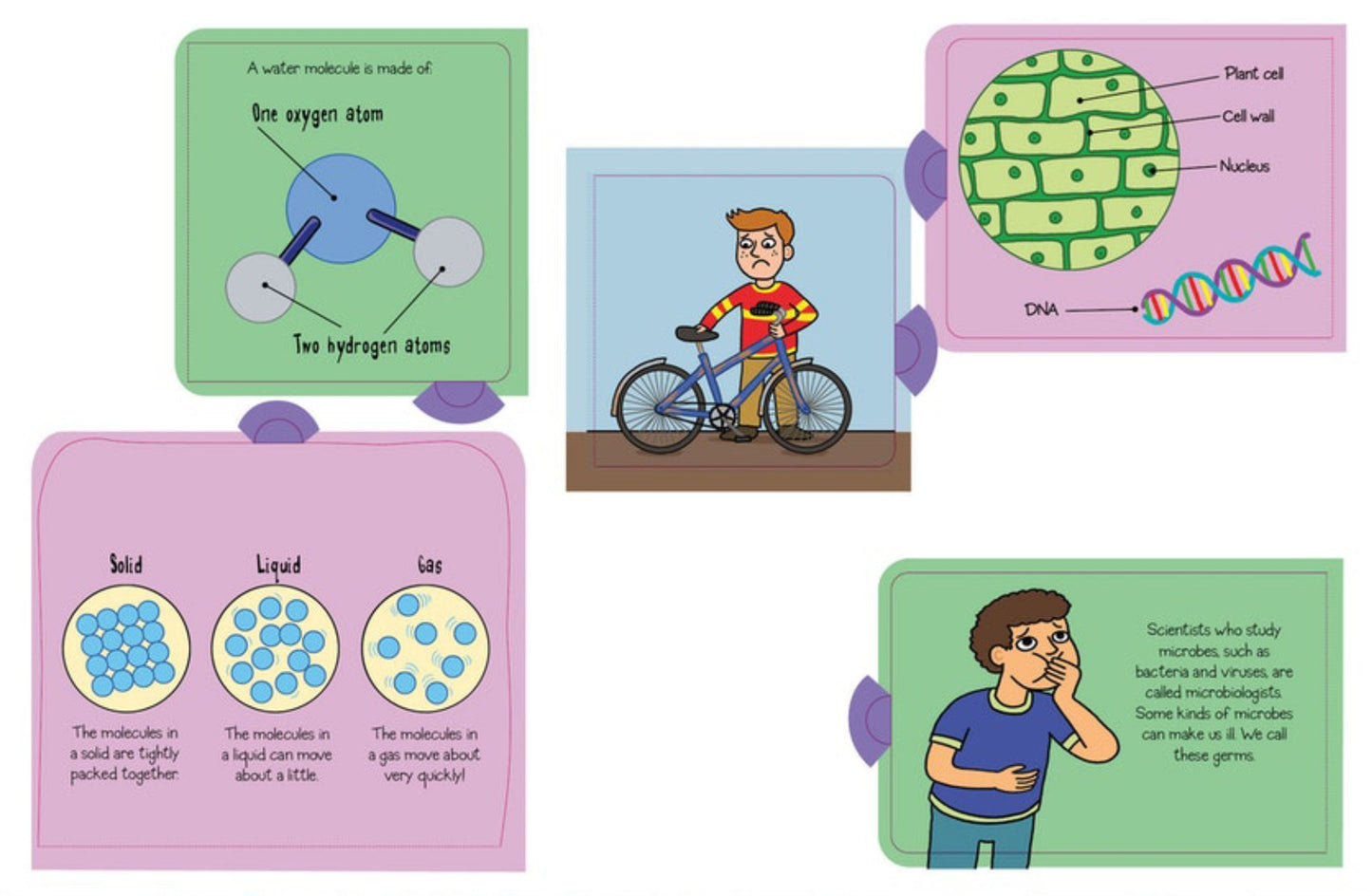 Little Explorers: Science (Lift the Flap)