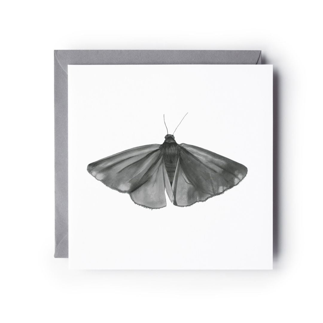 Cinnabar Moth Card