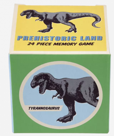 Prehistoric Land Memory Game