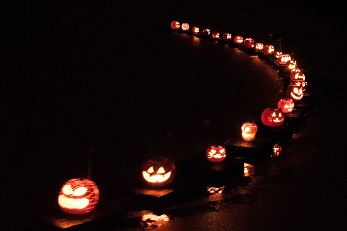 Pumpkin Flotilla