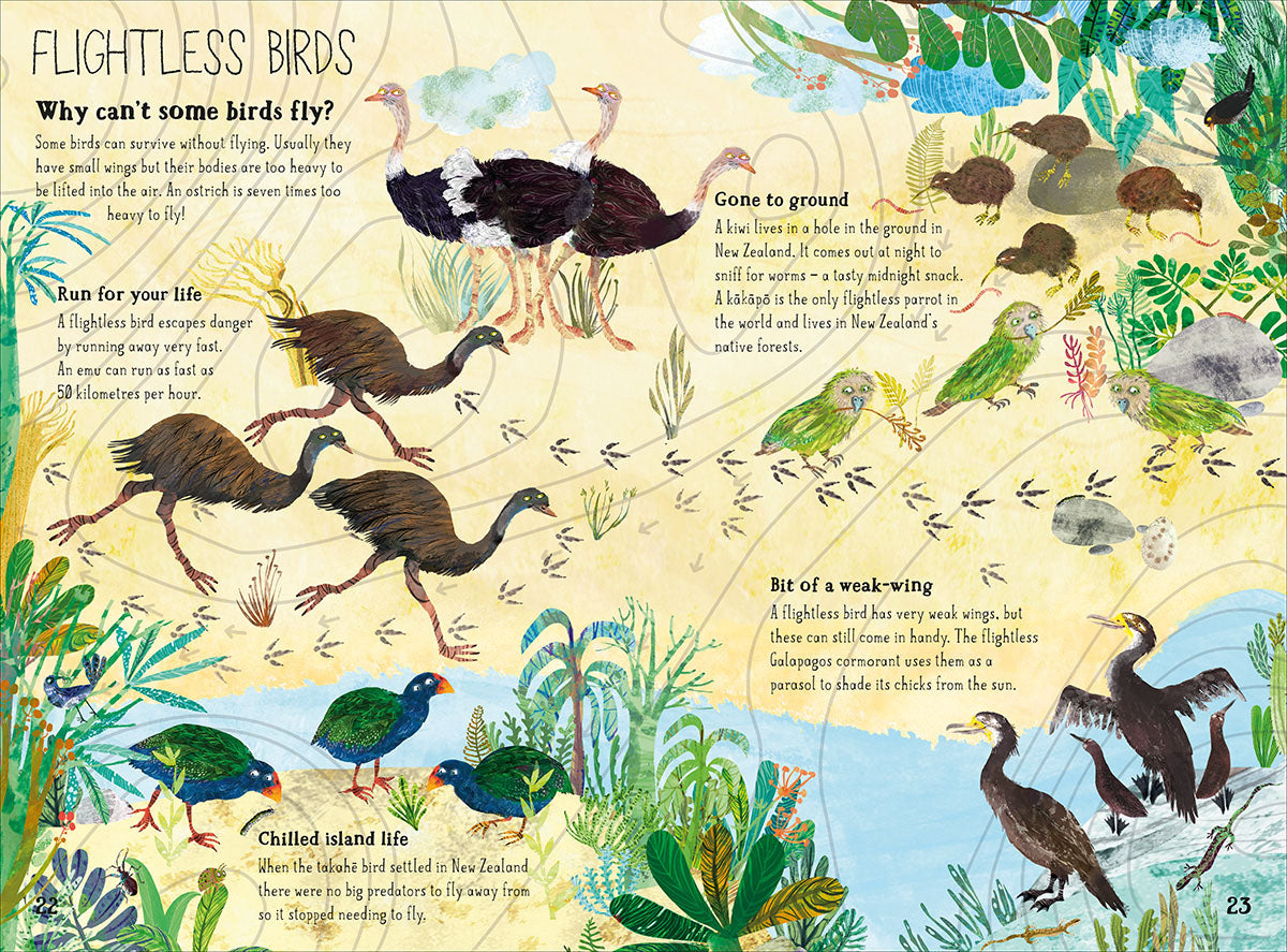 The Big Book of Birds