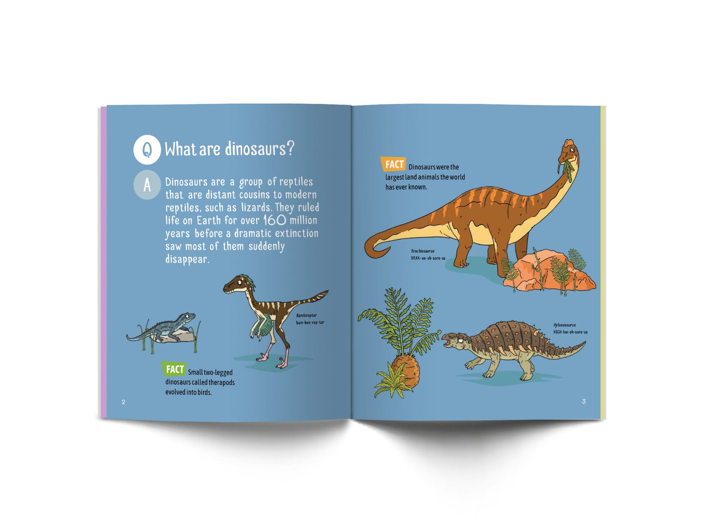 Dinosaur Questions & Answers