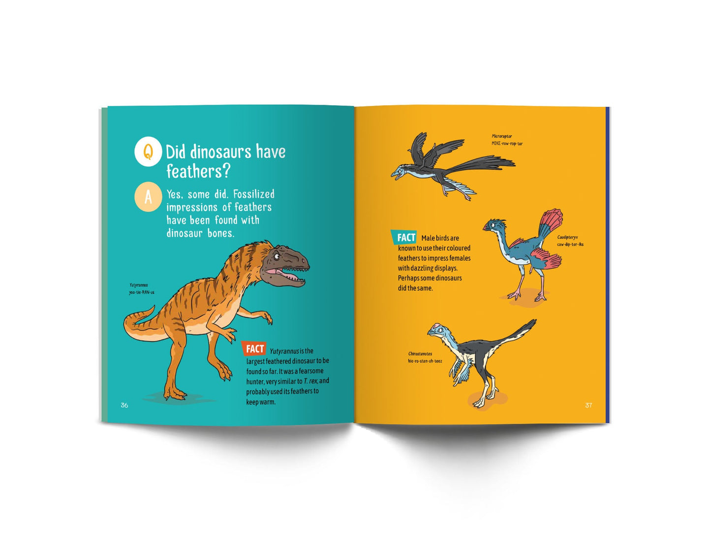 Dinosaur Questions & Answers