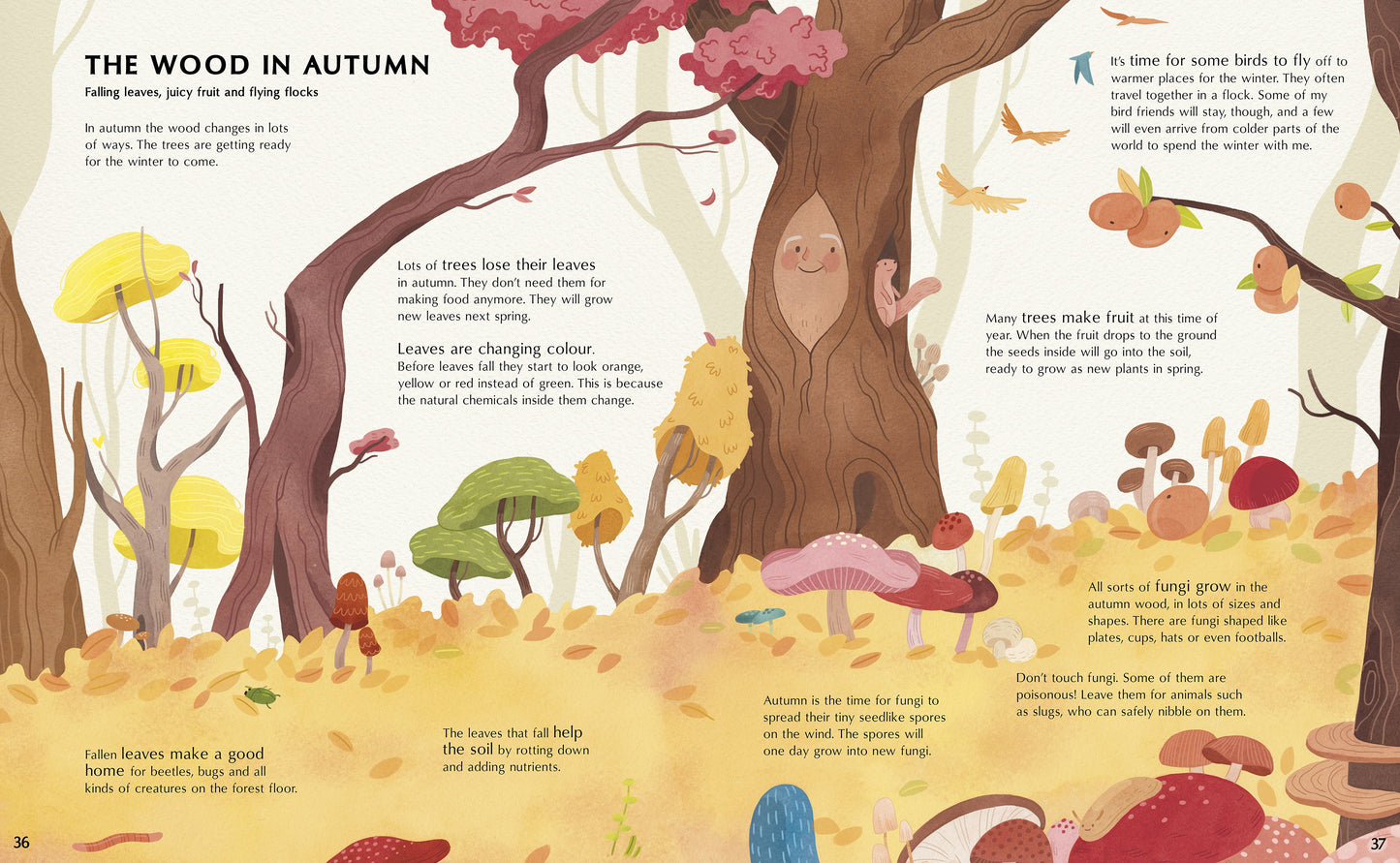 The Secret Life of Trees