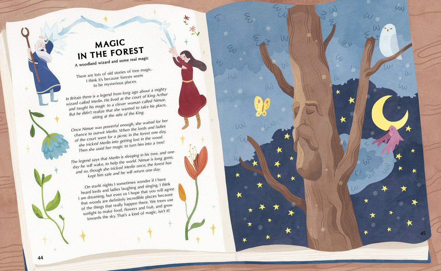 The Secret Life of Trees