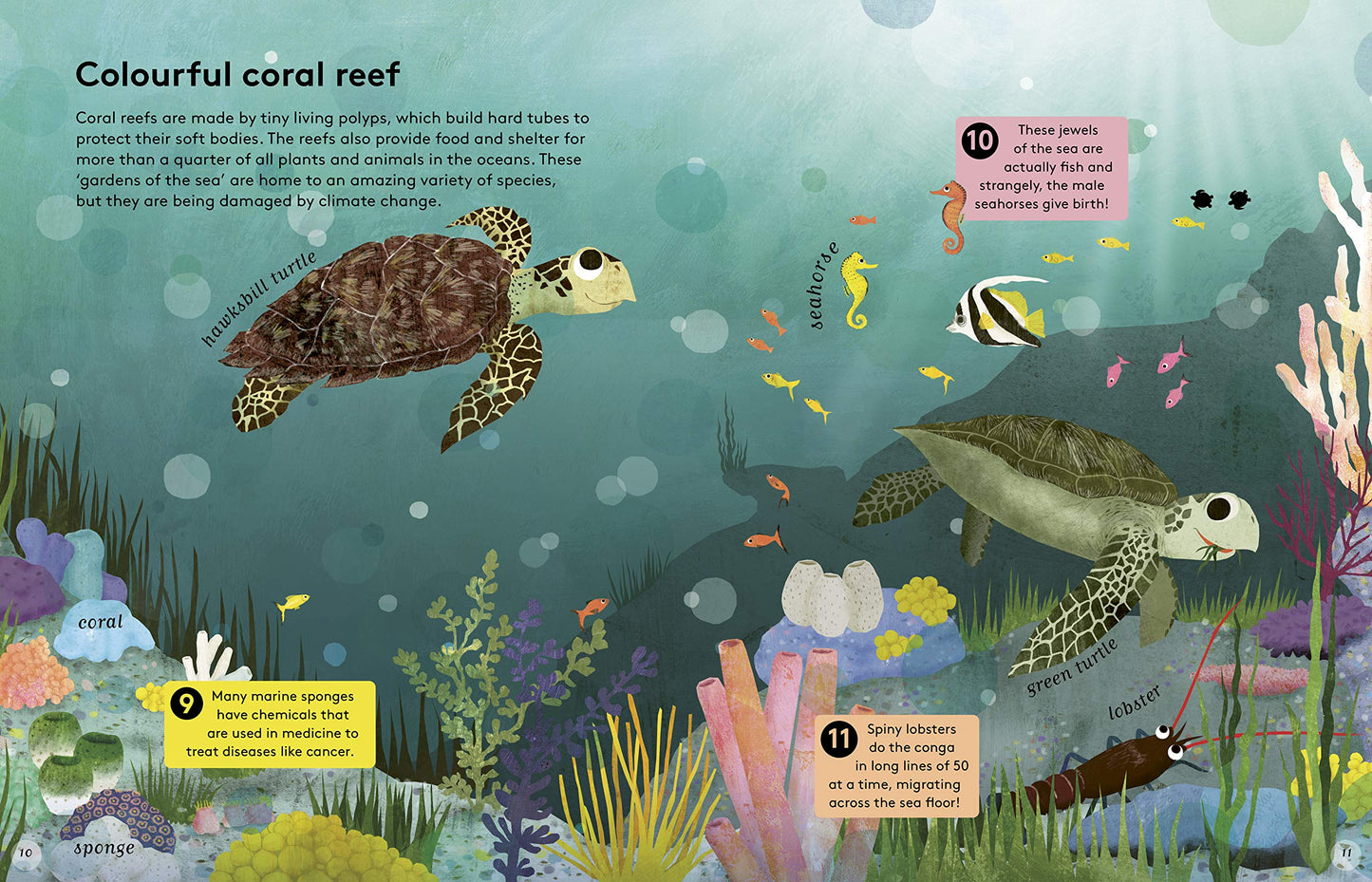 50 Reasons To Love Endangered Animals