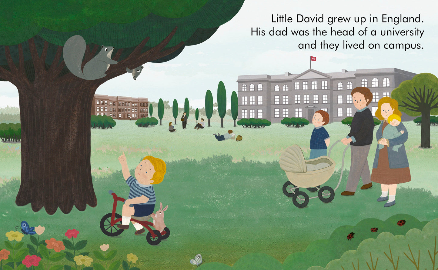 Little People Big Dreams: David My First