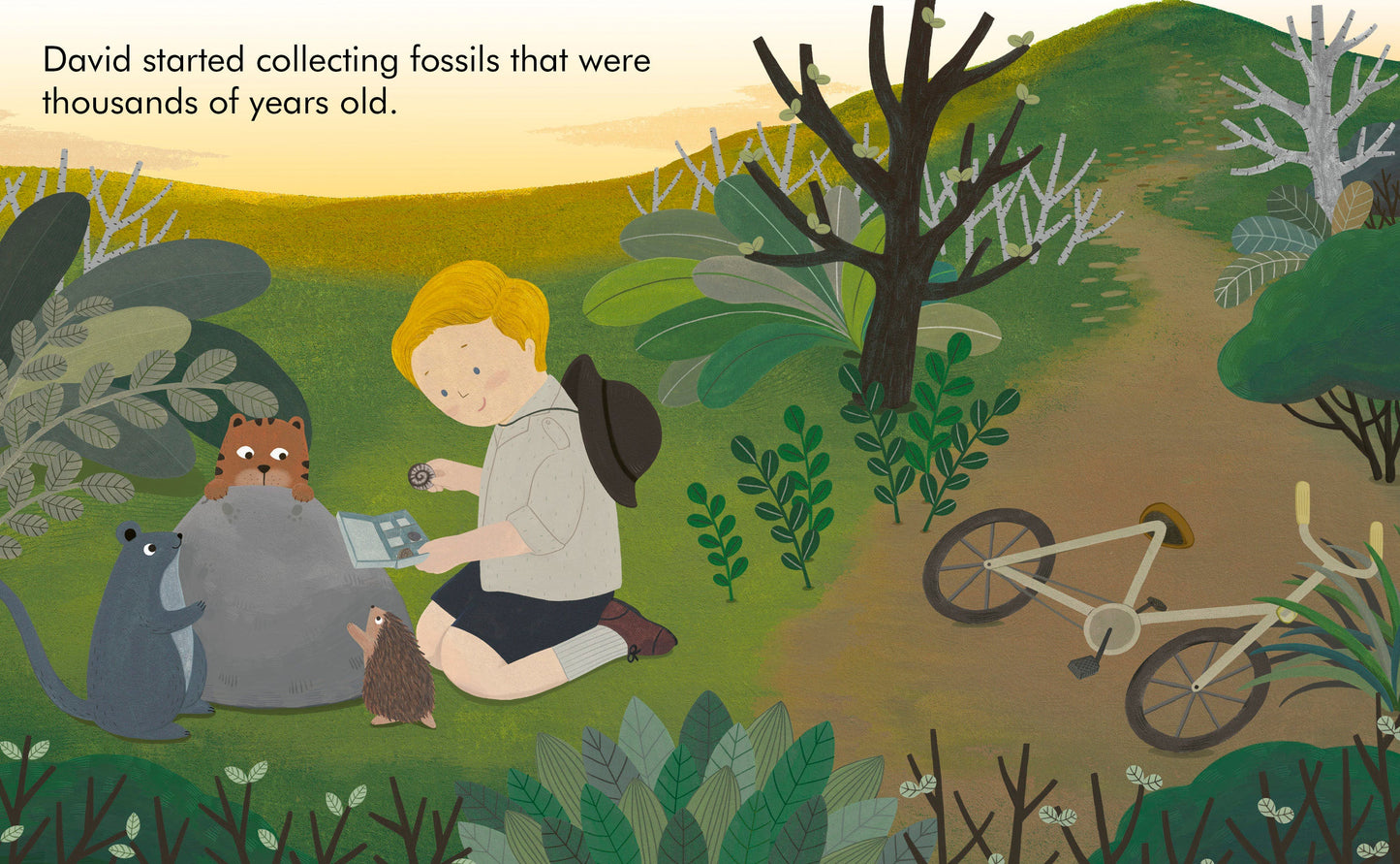 Little People Big Dreams: David My First