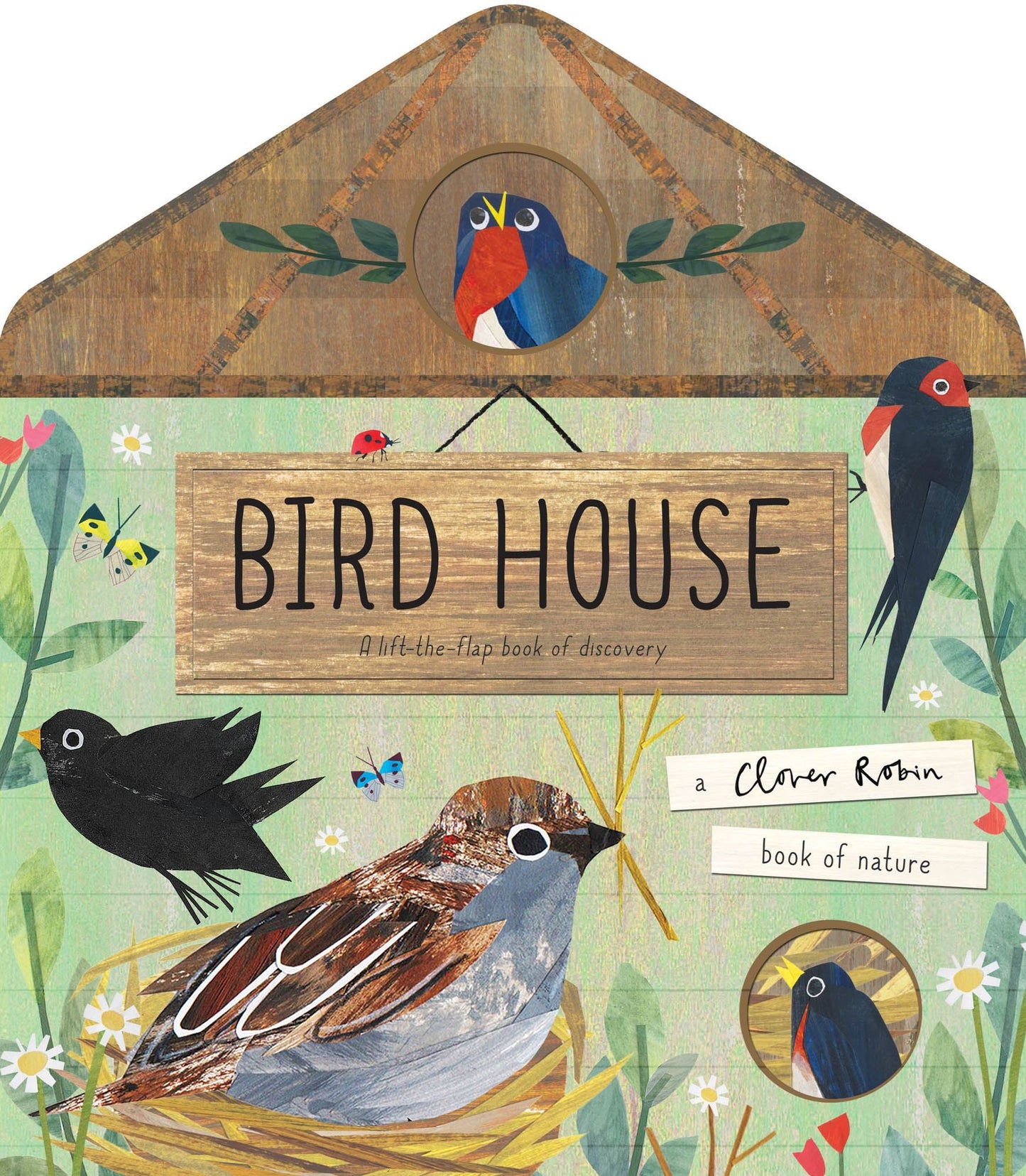 Bird House (Lift the Flap)