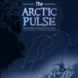Arctic Pulse