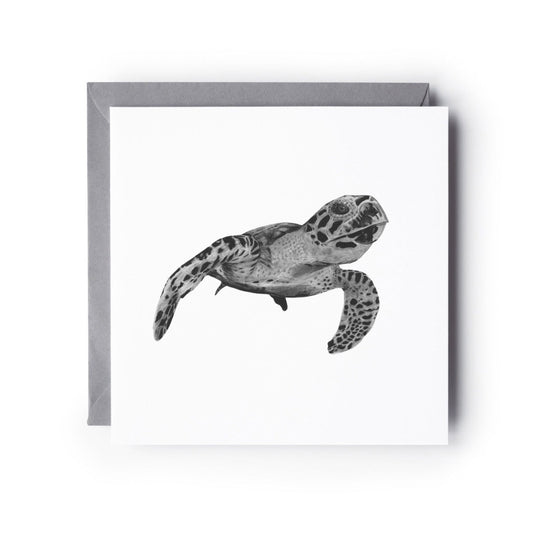 Turtle Card