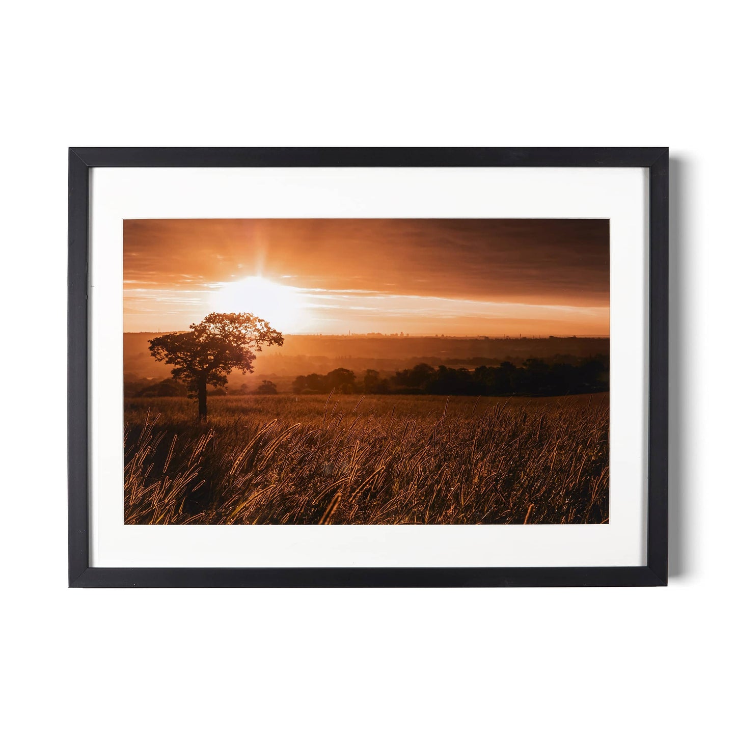 Lone Tree and the City Print