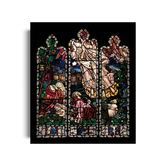 Peace and Goodwill Christmas Card Pack