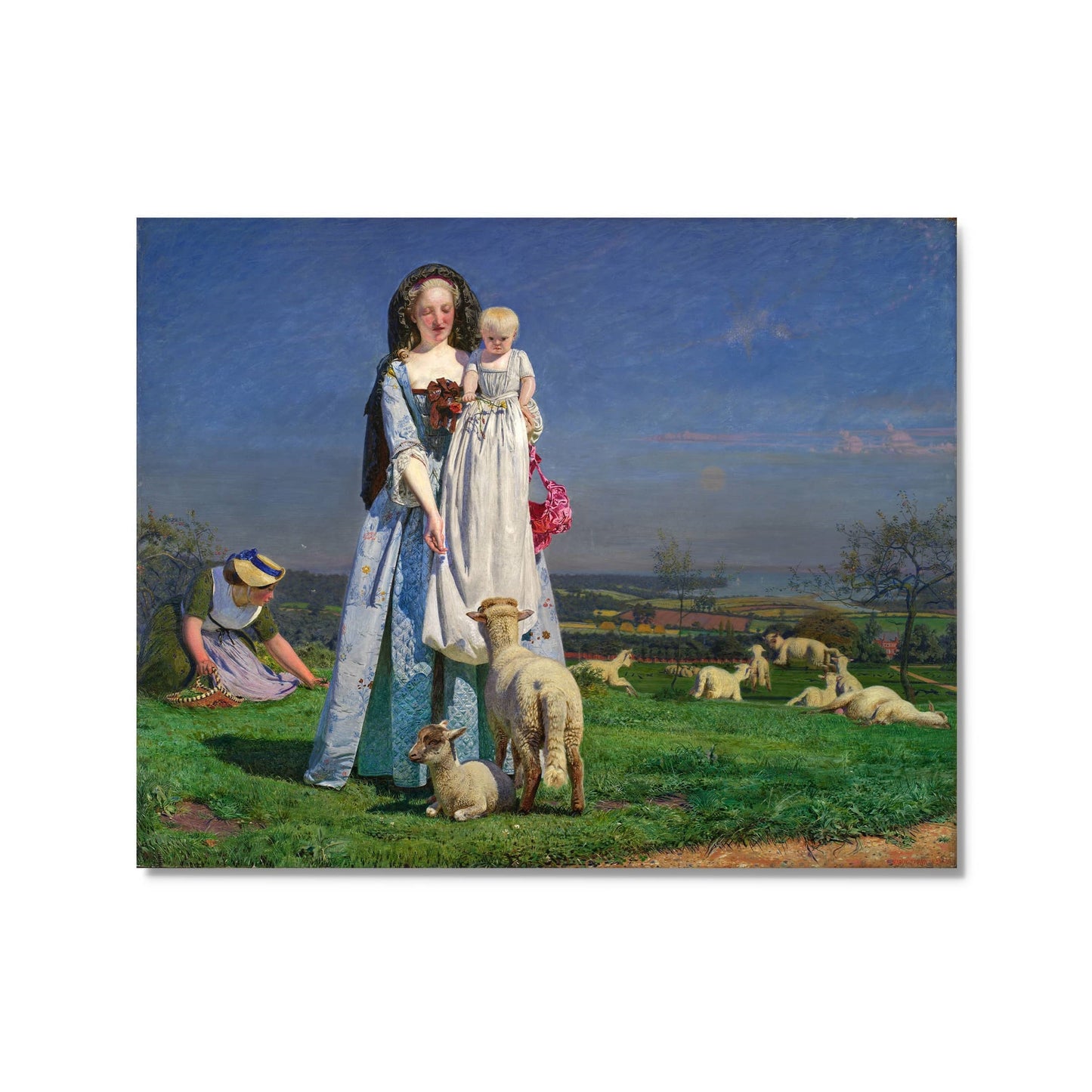 Pretty Baa-Lambs Postcard