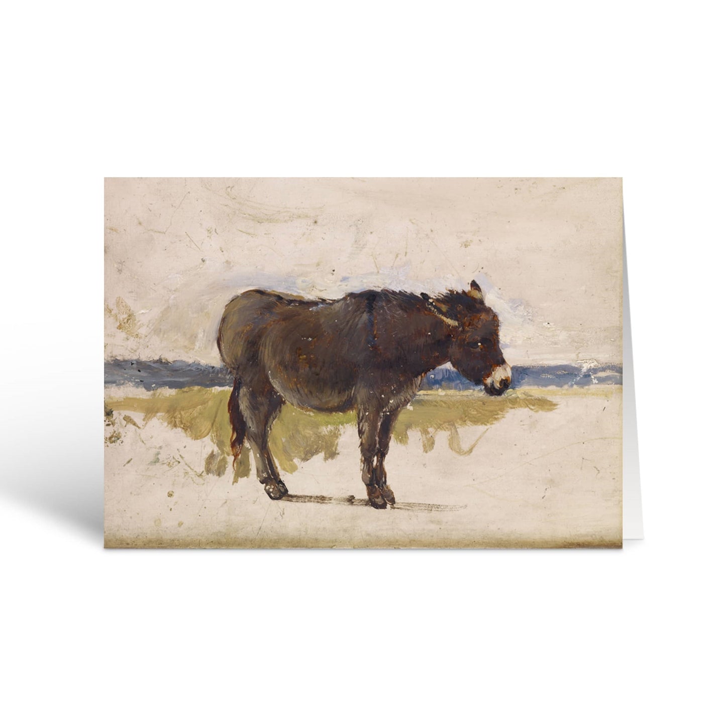 Study Of A Donkey Christmas Card Pack